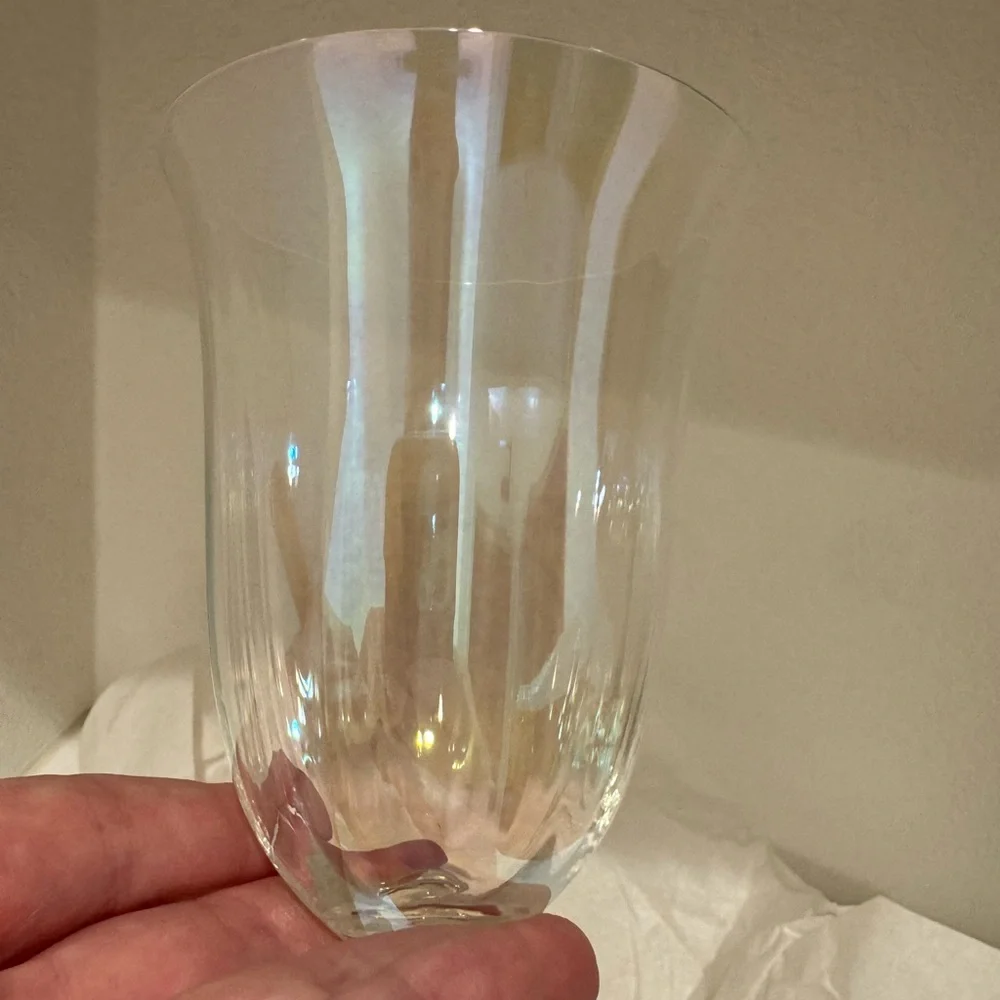 Anthropologie 24kg glaze Wine Glass New York City Nutcracker Ballet
